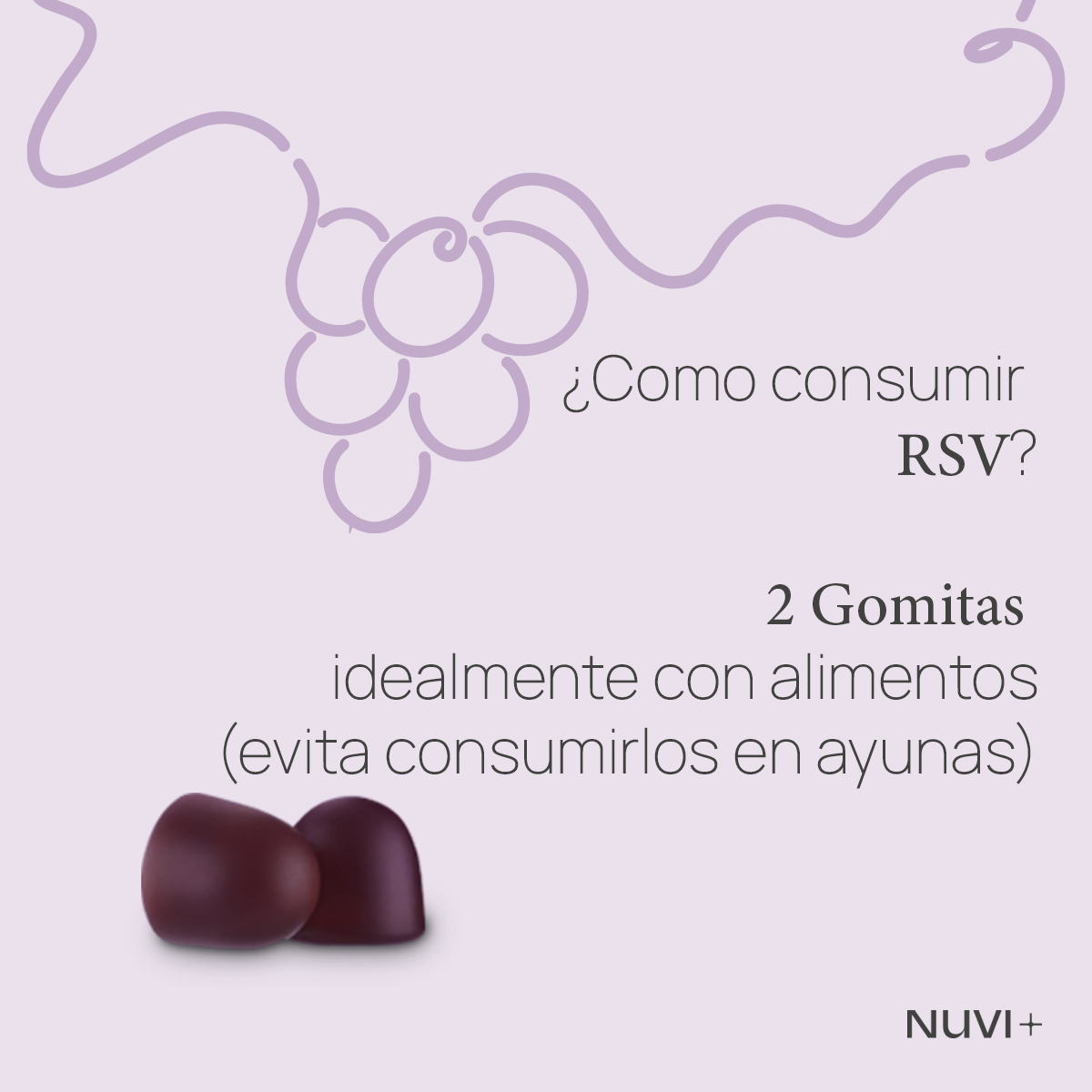 Gomitas RSV - Resveratrol + Extracto de Arándano + Vit. C + Vit. E + Zinc (-15% OFF)